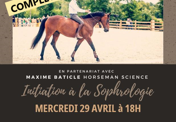 Sophrologie et équitation éthologique