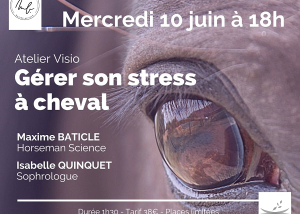 Atelier Visio Gérer son stress à cheval