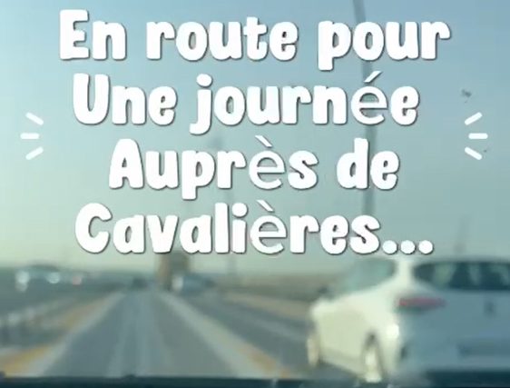 Préparer ses cavaliers aux championnats : et si le mental faisait la différence ?